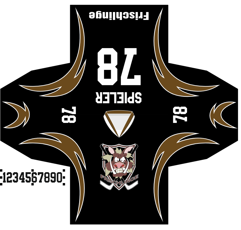 Mega Hockey Eishockeytrikots Projekte (1)