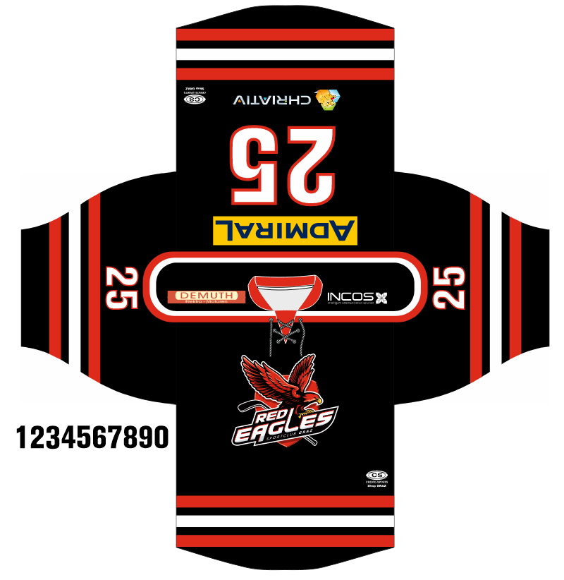 Mega Hockey – Eishockeytrikots Projekte (10)