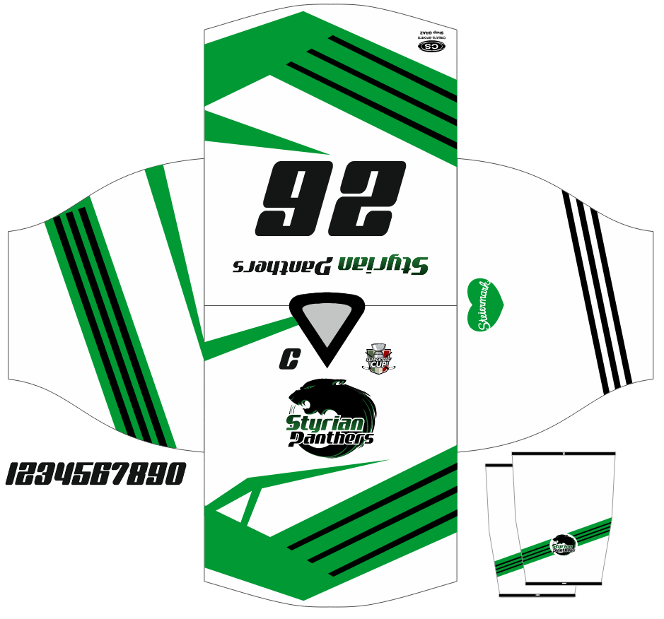 Mega Hockey – Eishockeytrikots Projekte (16)
