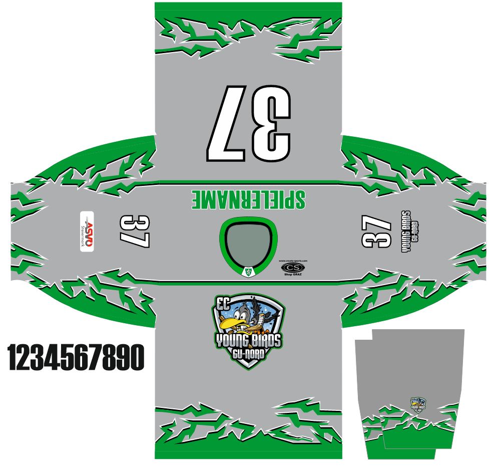 Mega Hockey – Eishockeytrikots Projekte (18)