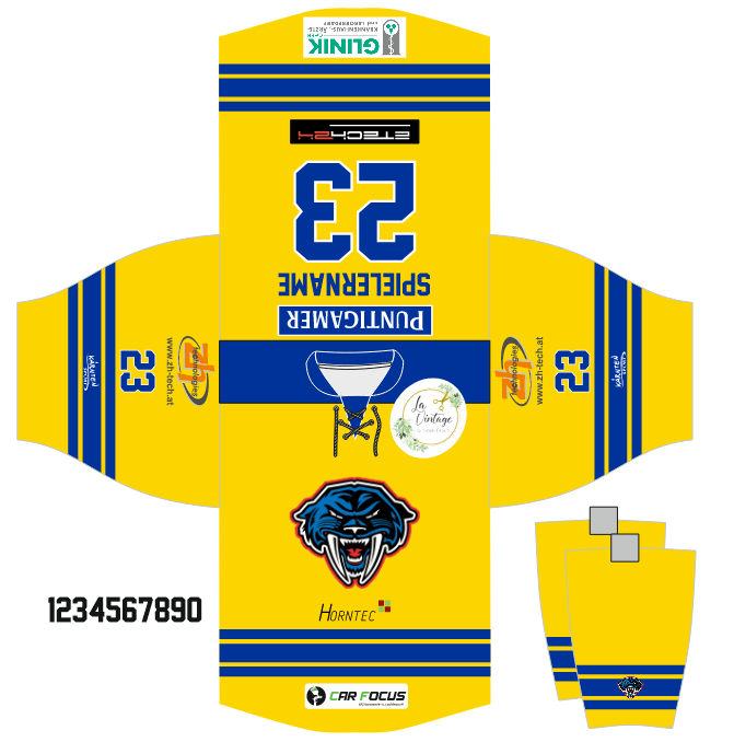 Mega Hockey – Eishockeytrikots Projekte (2)