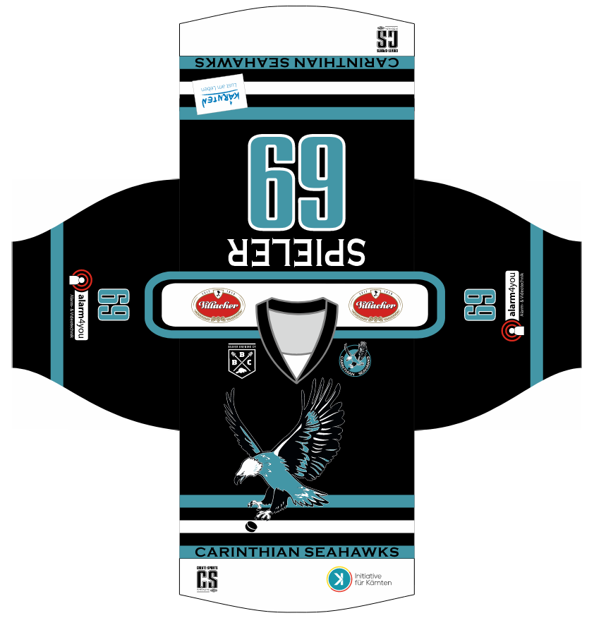 Mega Hockey Eishockeytrikots Projekte (3)