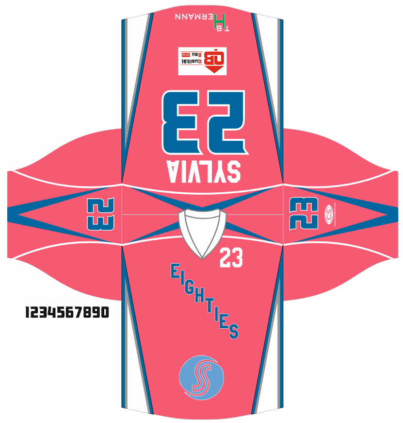 Mega Hockey Eishockeytrikots Projekte (7)