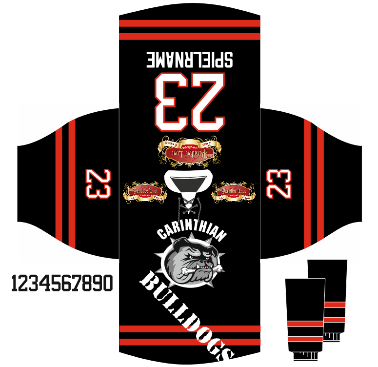 Mega Hockey – Eishockeytrikots Projekte (8)