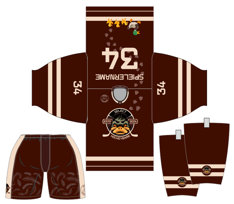 Mega Hockey – Eishockeytrikots_Projekte (17)