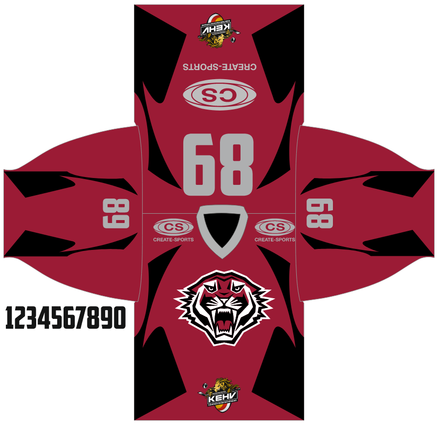 Mega Hockey – Eishockeytrikots_Projekte (38)
