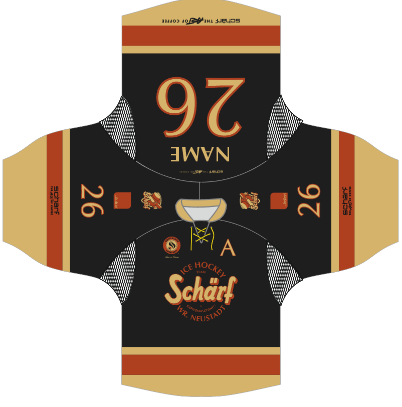 Mega Hockey Projekte (14)