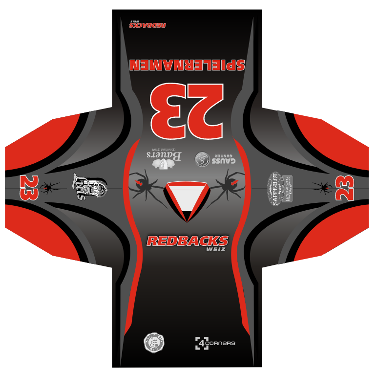 Mega Hockey Projekte (16)