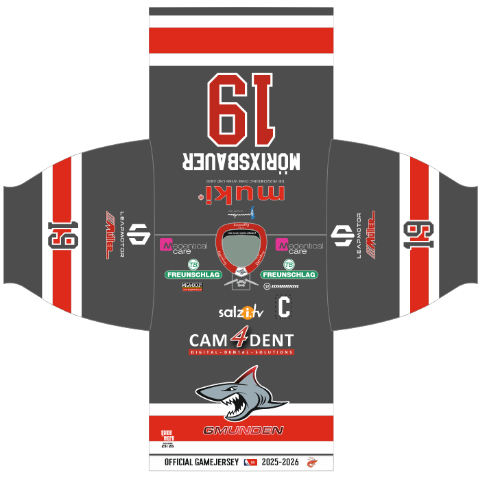 Mega Hockey Projekte (2)