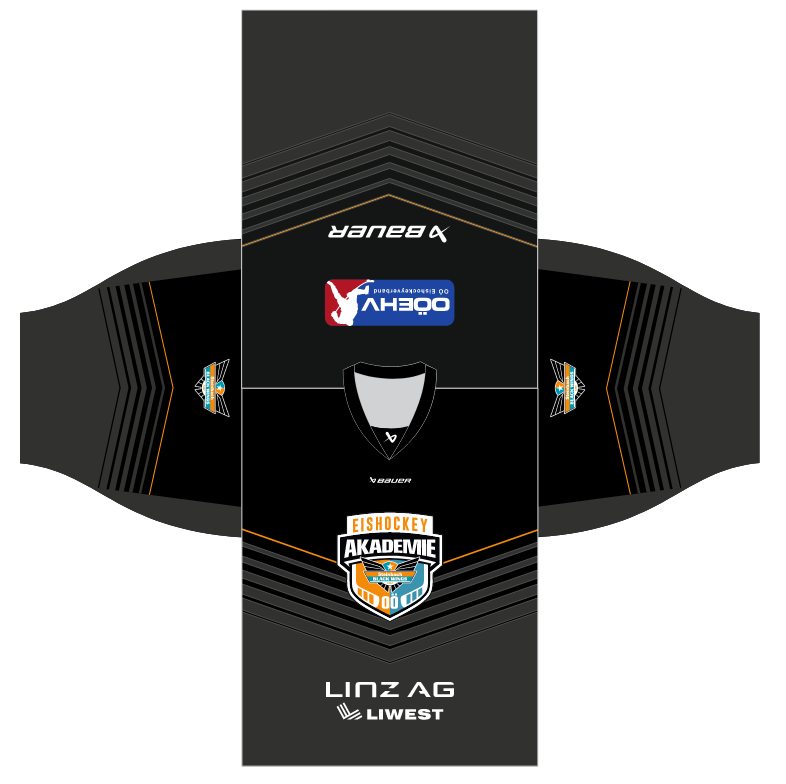 Mega Hockey Projekte (8)